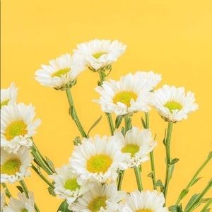 Meet your Posher, Kaitlyn